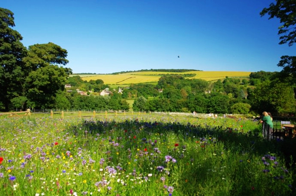 英国 花园 风景园林