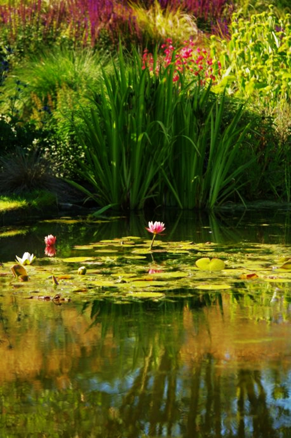 英国 花园 风景园林