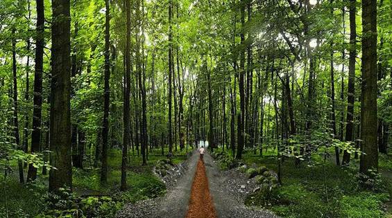 土耳其仙境般的Parkorman公园